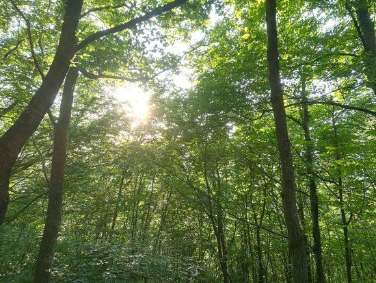 Oasi Naturalistica di Frassineto